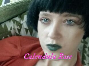 Calendula_Rose