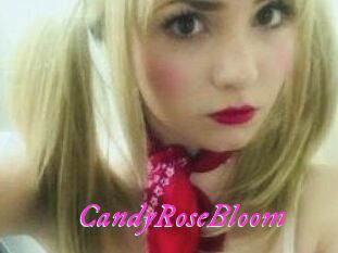 CandyRoseBloom