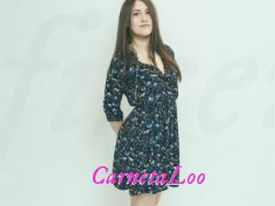 CarnetaLoo