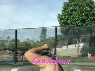 Canelabrun