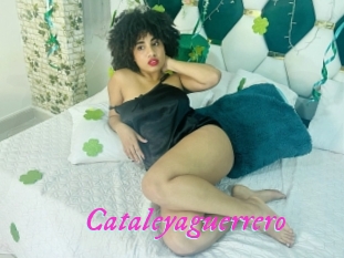 Cataleyaguerrero