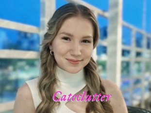 Cateclutter