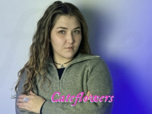 Cateflowers