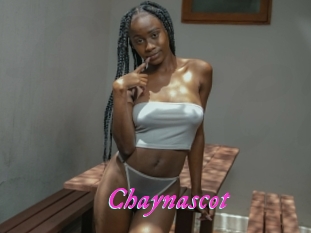 Chaynascot