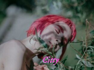 Citty