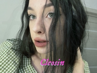 Cleosin