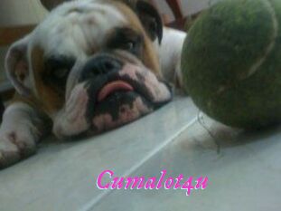 Cumalot4u