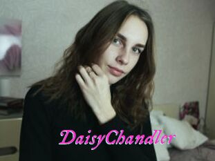 Daisy_Chandler