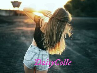 DaisyColle
