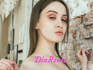 DiaRouse