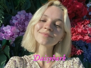 Daisybark
