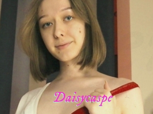 Daisycaspe
