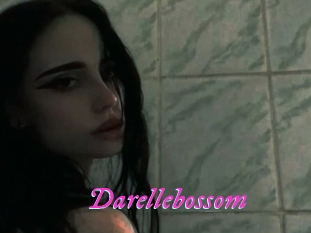 Darellebossom