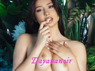 Dayananoir