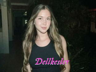 Dellkesler