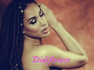 Didiflower