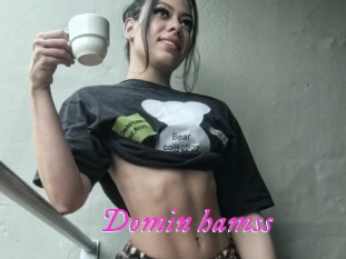 Domin_hamss