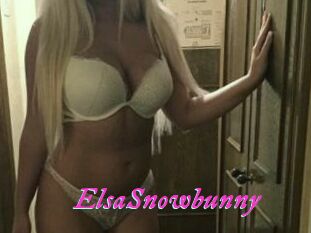 ElsaSnowbunny