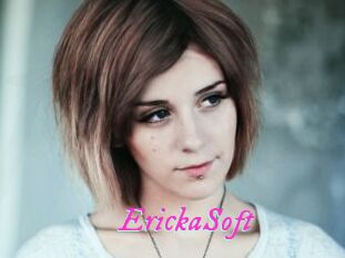 ErickaSoft
