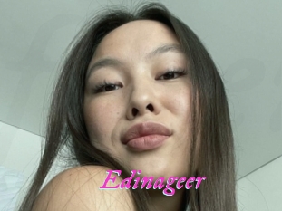 Edinageer
