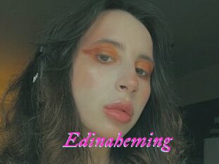 Edinaheming