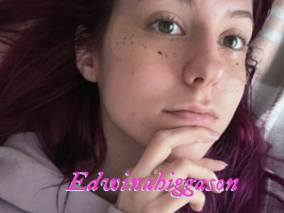 Edwinahiggason