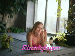 Electricflower