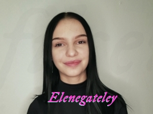 Elenegateley