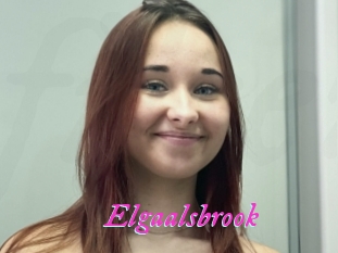 Elgaalsbrook
