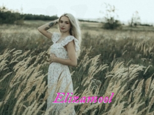 Elizamool