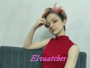Elvaatcher
