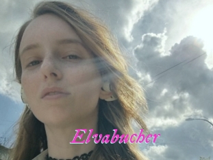 Elvabucher