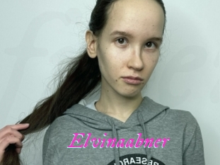 Elvinaabner