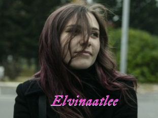 Elvinaatlee
