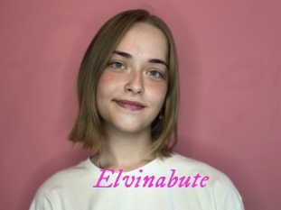 Elvinabute