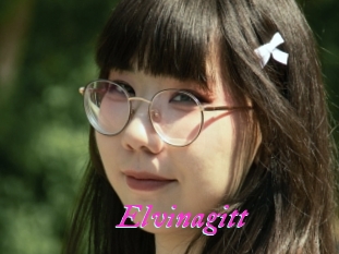 Elvinagitt