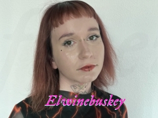 Elwinebuskey