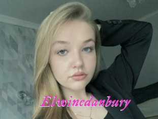 Elwinedanbury