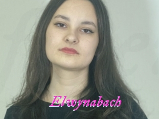 Elwynabach
