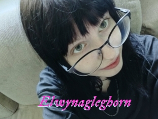 Elwynagleghorn