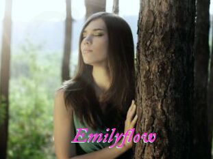 Emilyflow