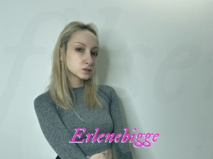 Erlenebigge