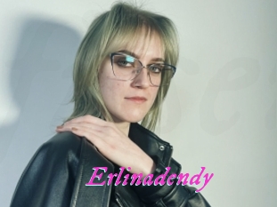 Erlinadendy
