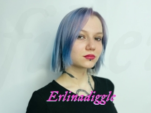 Erlinadiggle