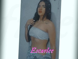 Escarlee
