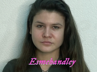 Esmehandley