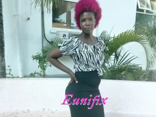 Eunifix