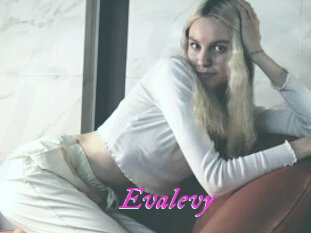 Evalevy