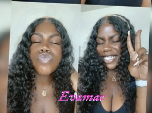 Evamae