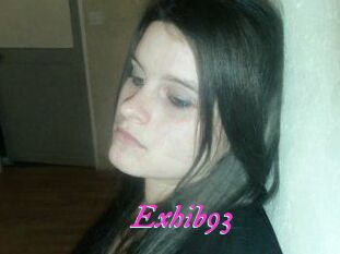 Exhib93